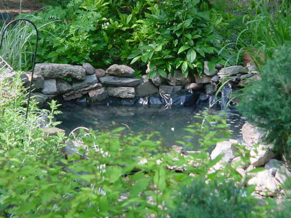 Our Little Fish Pond before the storm